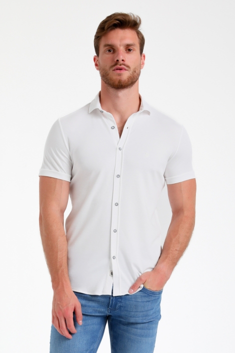 Gabbiano 335535
